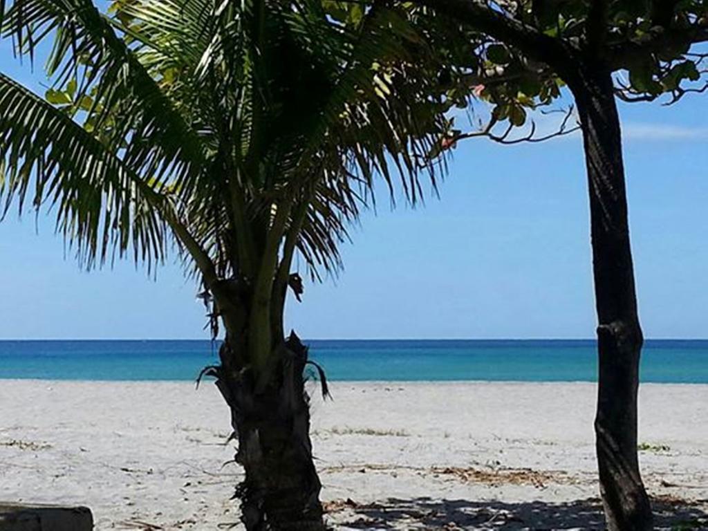 Rama International Beach Resort Botolan Zewnętrze zdjęcie